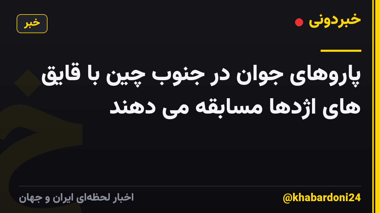 پاروهای جوان در جنوب چین با قایق های اژدها مسابقه می دهند