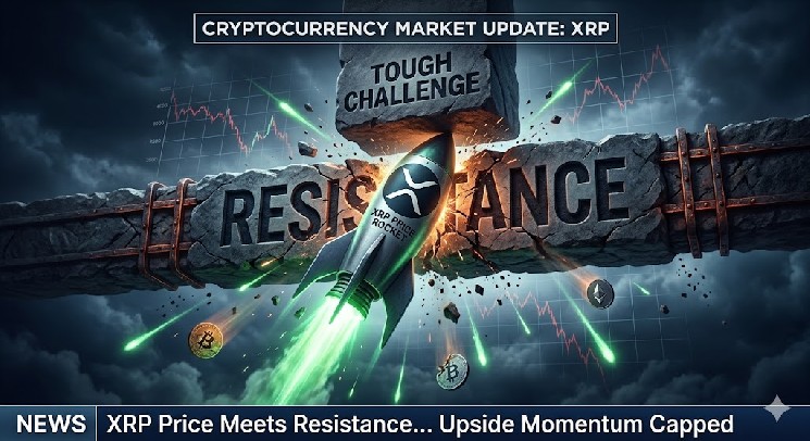 قیمت XRP فصل بعدی می تواند حرکتی قوی به سمت صعود باشد