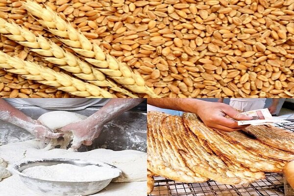 فرآیندهای نظارتی حوزه گندم، آرد و نان ساماندهی می‌شود
