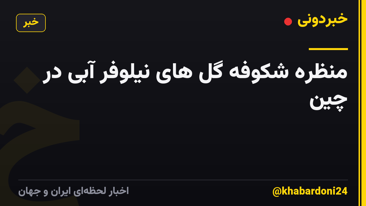 منظره شکوفه گل های نیلوفر آبی در چین