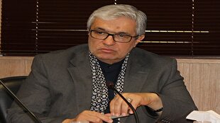 خدشه به تیم مذاکرهکننده منطبق با خواسته رژیم صهیونیستی است