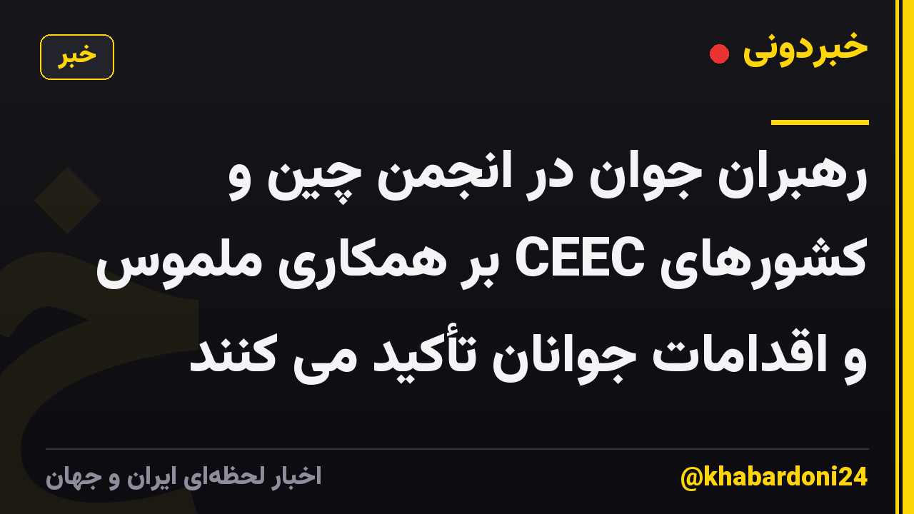 رهبران جوان در انجمن چین و کشورهای CEEC بر همکاری ملموس و اقدامات جوانان تأکید می کنند