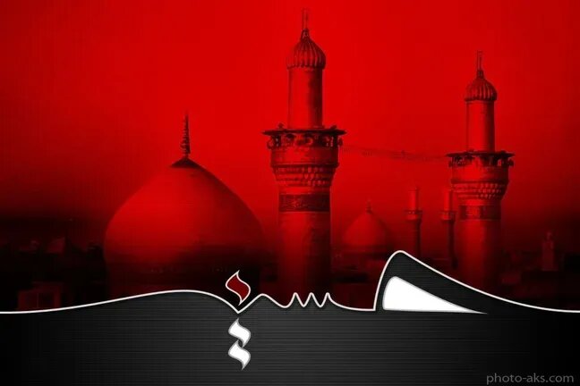 نگاهی به متون بیش از ۱۴ چهره بزرگ اهل سنت درباره امام حسین (ع)