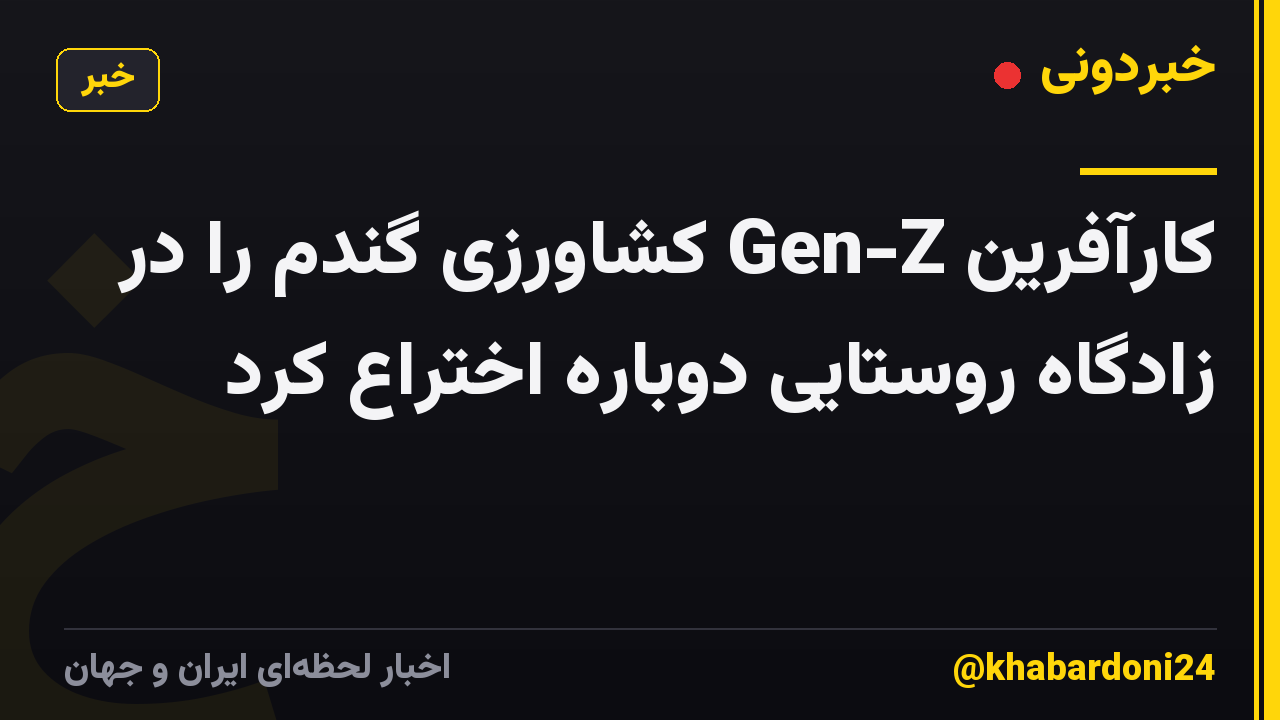 کارآفرین Gen-Z کشاورزی گندم را در زادگاه روستایی دوباره اختراع کرد