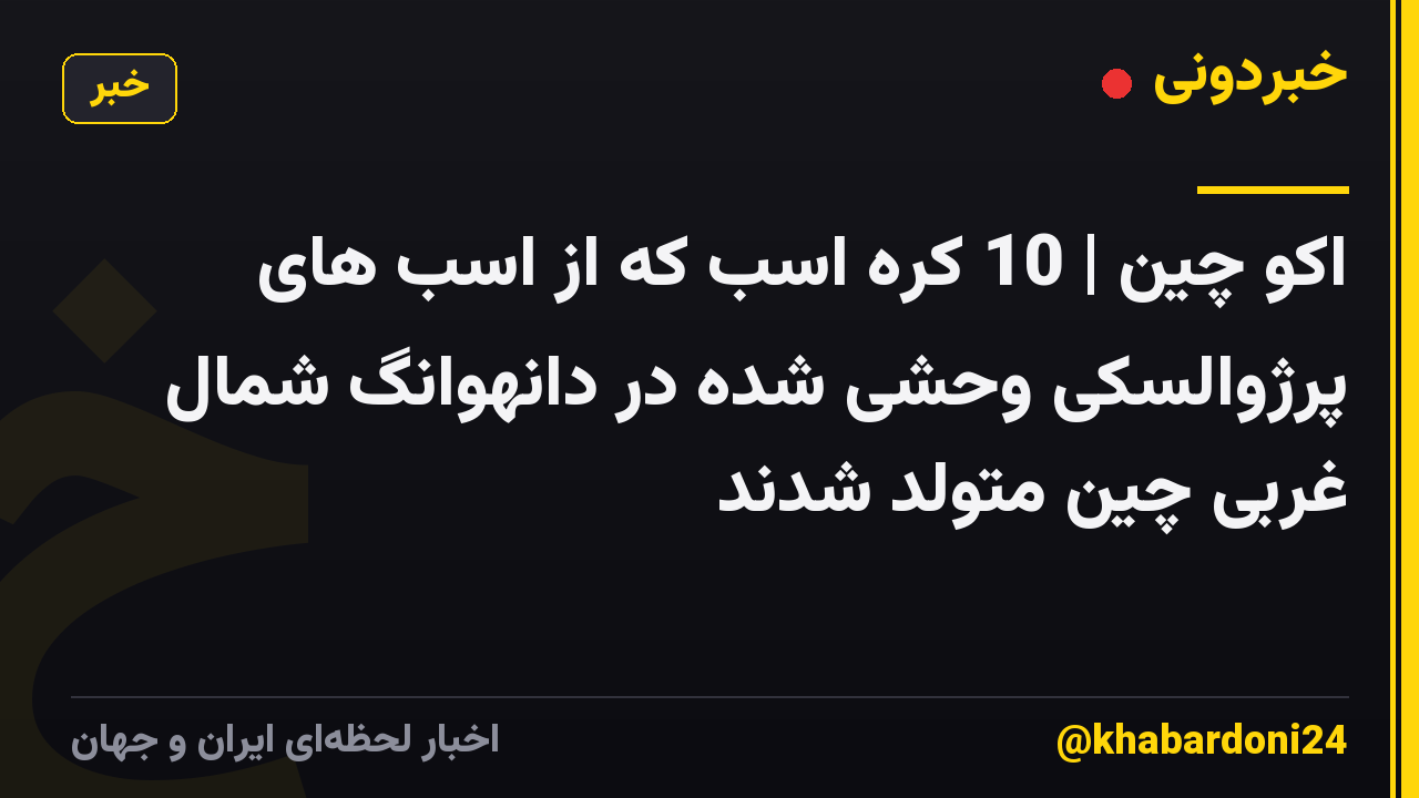 اکو چین | 10 کره اسب که از اسب های پرژوالسکی وحشی شده در دانهوانگ شمال غربی چین متولد شدند
