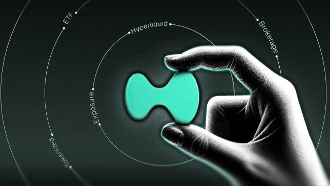 Hyperliquid's HYPE فقط به رکورد جدیدی رسیده است: کارشناسان اکنون هدف 300 دلاری را وزن می کنند