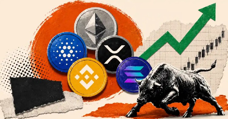 آلت کوین ها مرده نیستند، اما دوران پول آسان به پایان رسیده است: CryptoQuant
