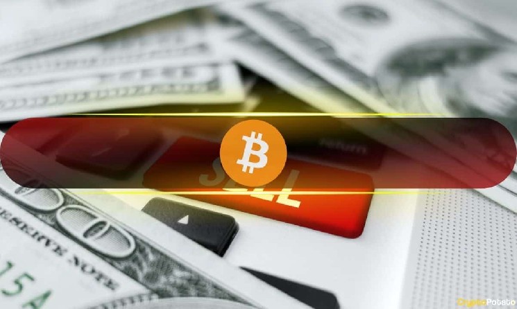 فرسودگی فروشنده بیت کوین؟ انتقال سیگنال های داده روی زنجیره به سمت کاپیتولاسیون در مرحله آخر