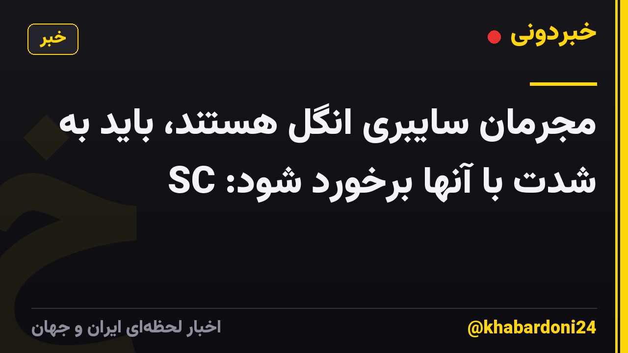 مجرمان سایبری انگل هستند، باید به شدت با آنها برخورد شود: SC