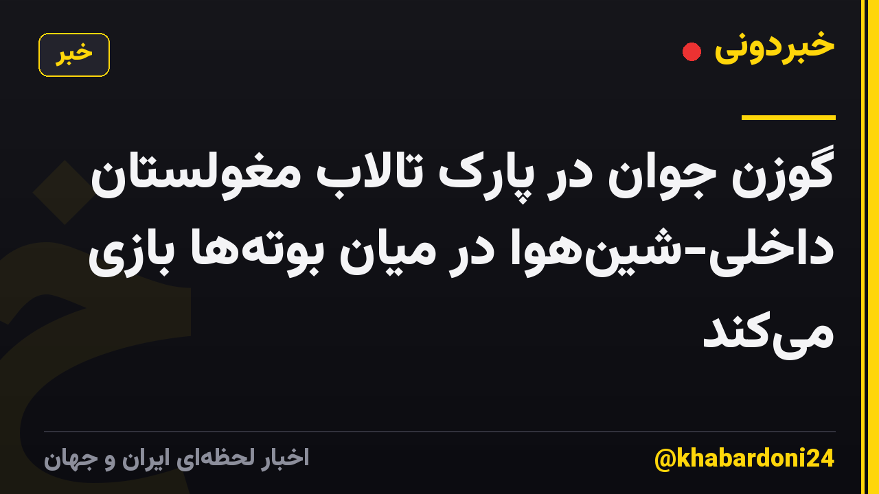 گوزن جوان در پارک تالاب مغولستان داخلی-شین‌هوا در میان بوته‌ها بازی می‌کند