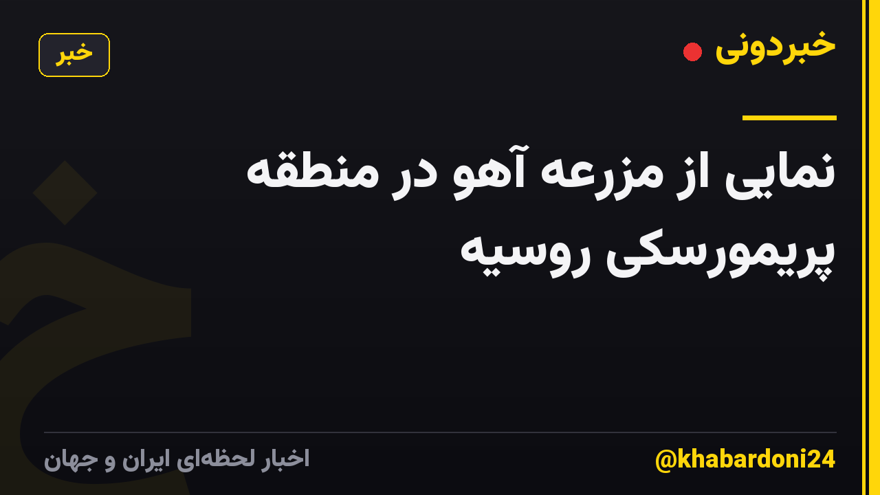 نمایی از مزرعه آهو در منطقه پریمورسکی روسیه