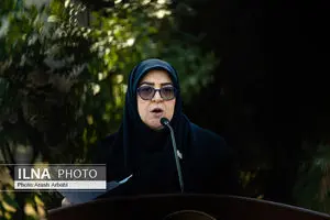 میدان، جامعه و دیپلماسی در خدمت منافع ملی است