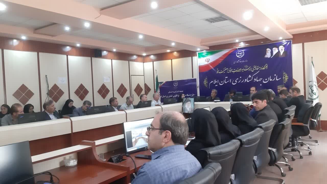 آغاز عملیاتی شدن شبکه ملی مزارع الگویی در ایلام
