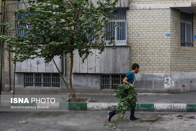 رگبار و رعد و برق در برخی نقاط کشور/ بارش پراکنده باران در استانهای شمالی طی فردا