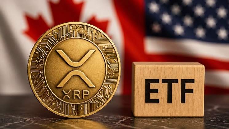 با وجود کاهش قیمت، ETF های XRP Spot داده های جالبی را نشان می دهند