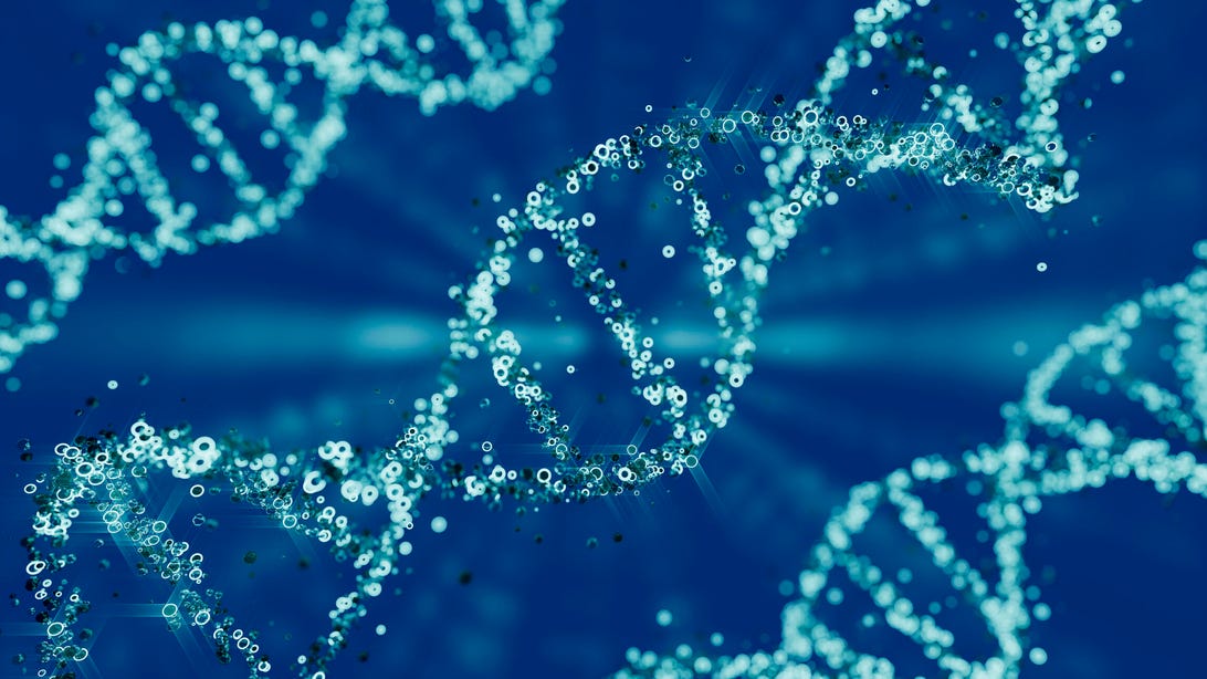 در نظر گرفتن هدیه دادن آزمایش DNA برای روز پدر؟ این کارشناسان می گویند دو بار فکر کنید