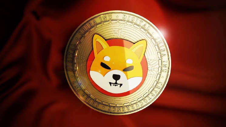 چرا شیبا اینو (SHIB) هرگز به 1 دلار نمی رسد: مایکل گید به Meme Coin بازگشت