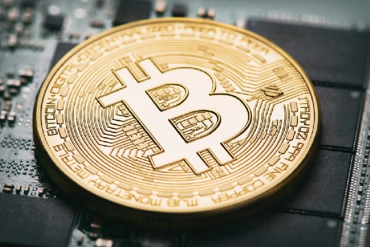 هدف بعدی بیت کوین چیست؟ غلظت قابل توجهی از گاما در یک سطح قیمت مشخص وجود دارد
