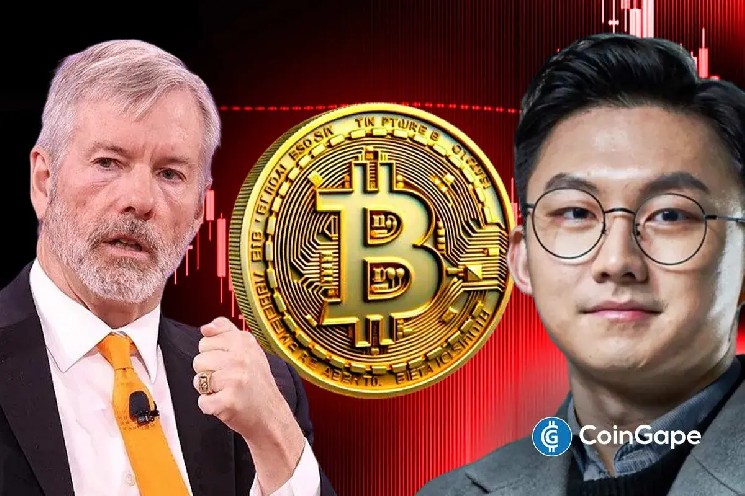 خرید بیت کوین Saylor مانع از سقوط BTC نمی شود، مدیر عامل CryptoQuant راه حل واقعی را فاش می کند
