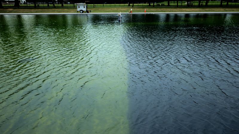 ترامپ مدعی است که Reflecting Pool تخریب شده است و می گوید مجریان قانون در حال تحقیق در این زمینه هستند
