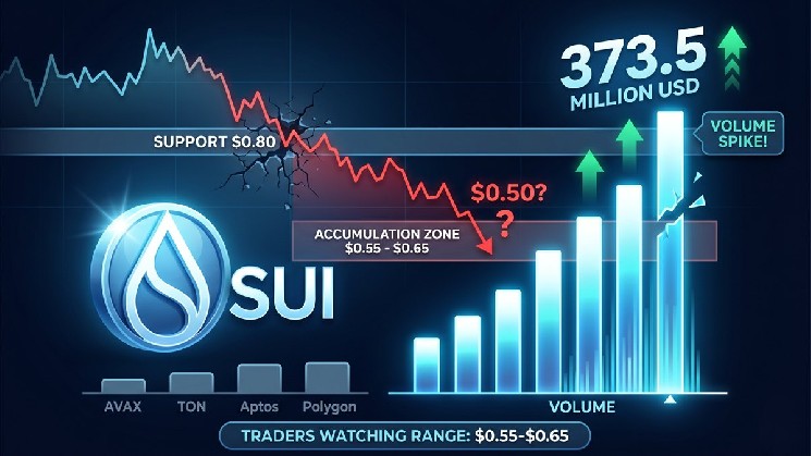 حجم SUI به 373.5 میلیون دلار به عنوان محدوده انباشت بحرانی بازار چشم افزایش یافت