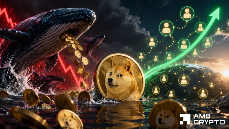 Dogecoin با 0.09 دلار رد شد - آیا نهنگ ها باعث سقوط عمیق تر می شوند؟