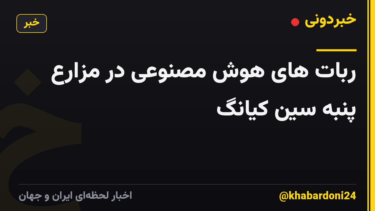 ربات های هوش مصنوعی در مزارع پنبه سین کیانگ