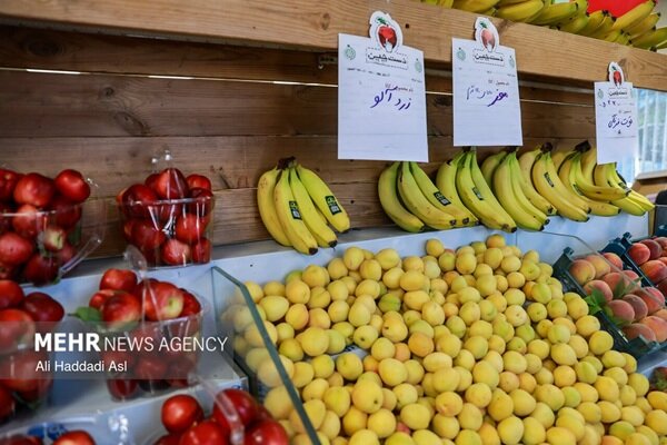 اینفوگرافیک؛ خراسان شمالی قطب تولید میوه کشور
