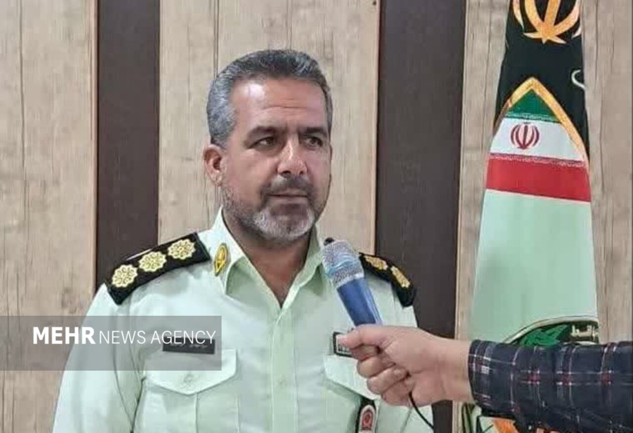 کشف ۲۵ راس احشام فاقد مجوز در میامی؛ ۲ خودروی متخلف توقیف شدند