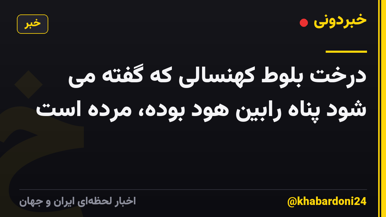 درخت بلوط کهنسالی که گفته می شود پناه رابین هود بوده، مرده است