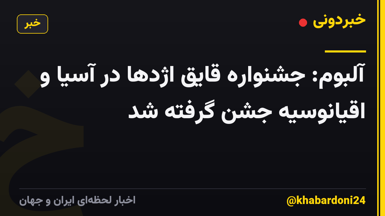 آلبوم: جشنواره قایق اژدها در آسیا و اقیانوسیه جشن گرفته شد