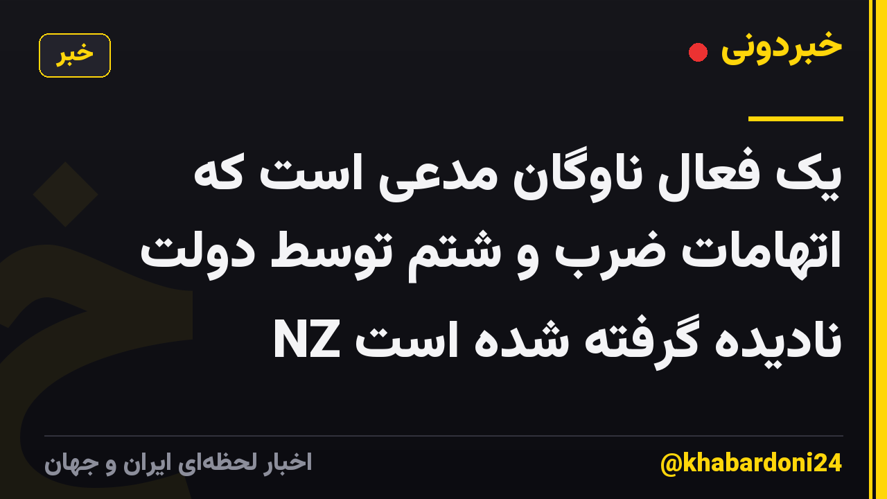 یک فعال ناوگان مدعی است که اتهامات ضرب و شتم توسط دولت NZ نادیده گرفته شده است