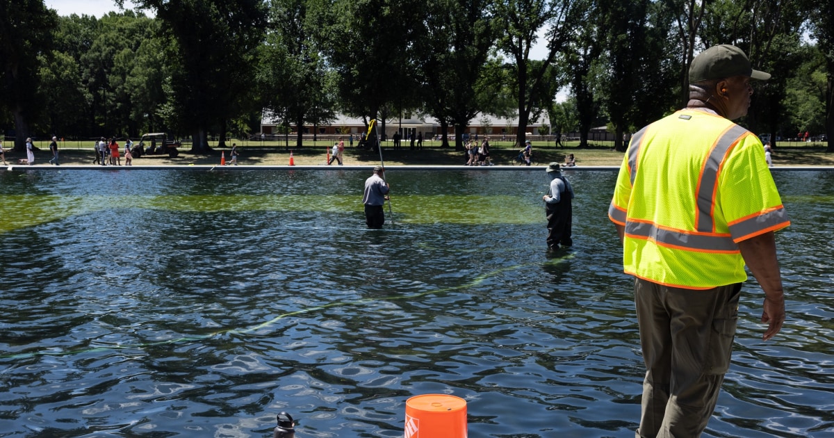 ترامپ خرابکاران را مقصر مشکلات Reflecting Pool میداند و میگوید ممکن است نیاز به تخلیه مجدد داشته باشد