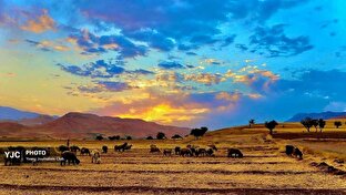 تابلویی از رنگ‌های طبیعت؛ جلوه‌های بکر و چشم‌نواز در قاب دوربین + تصاویر