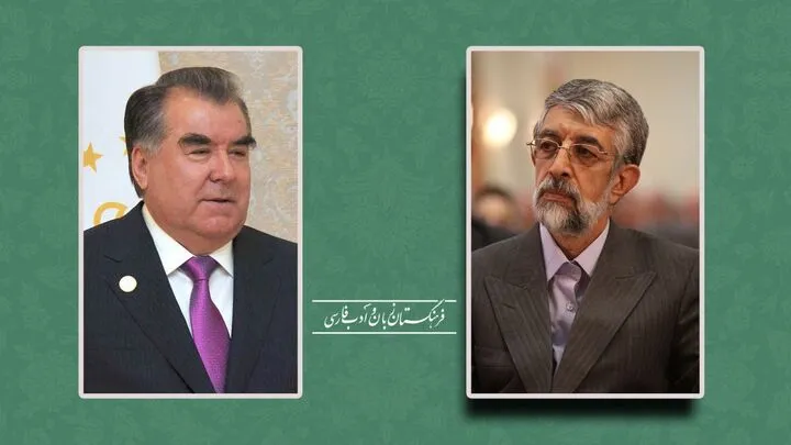 تقدیر فرهنگستان زبان و ادب فارسی از رئیس جمهور تاجیکستان