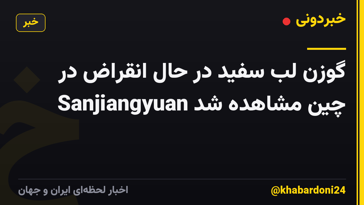 گوزن لب سفید در حال انقراض در Sanjiangyuan چین مشاهده شد