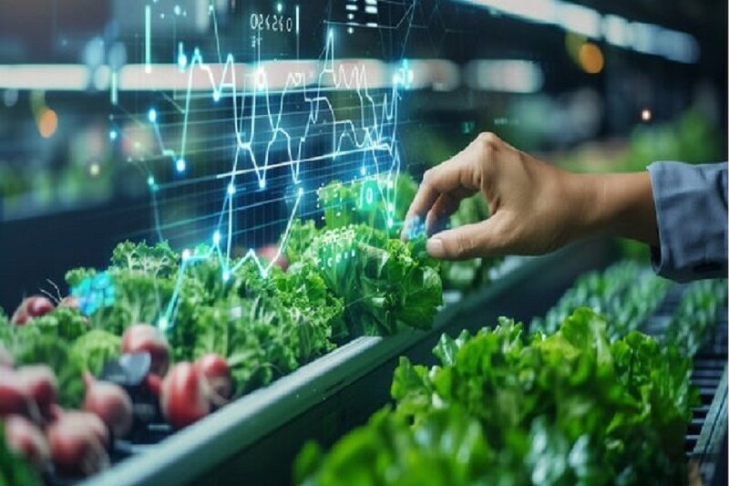 امسال ۴۰ بذر هیبرید معرفی میشود