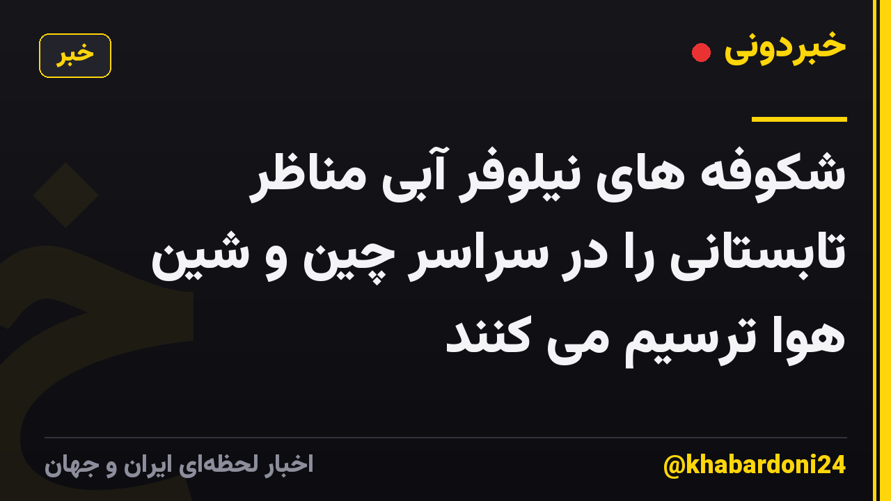 شکوفه های نیلوفر آبی مناظر تابستانی را در سراسر چین و شین هوا ترسیم می کنند