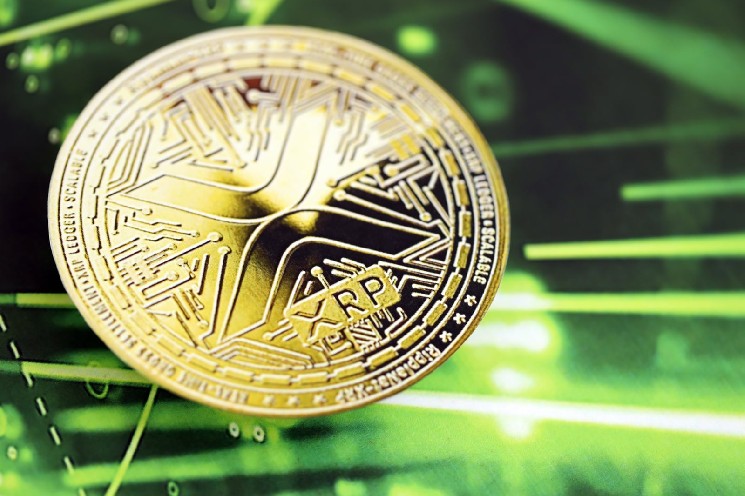 هوش مصنوعی برای تسریع پذیرش XRP Ledger: یکی از بنیانگذاران EasyA چشم انداز «بالایی» را به اشتراک می گذارد