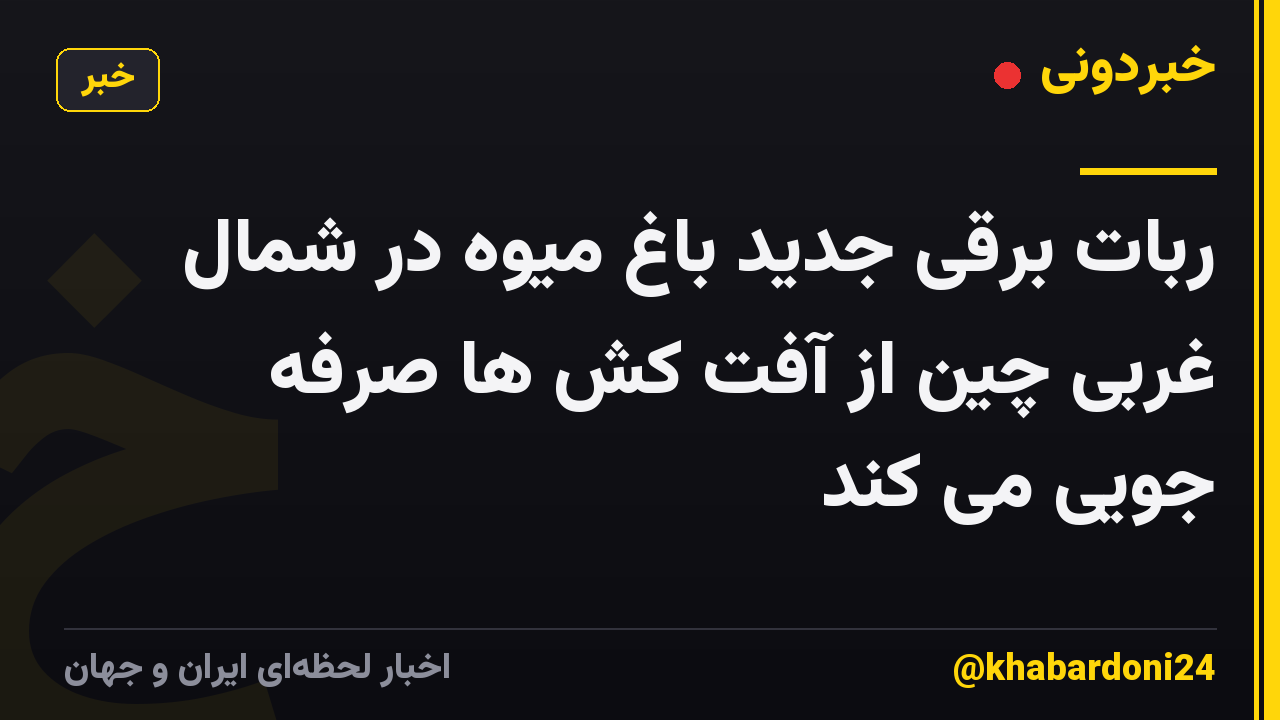 ربات برقی جدید باغ میوه در شمال غربی چین از آفت کش ها صرفه جویی می کند