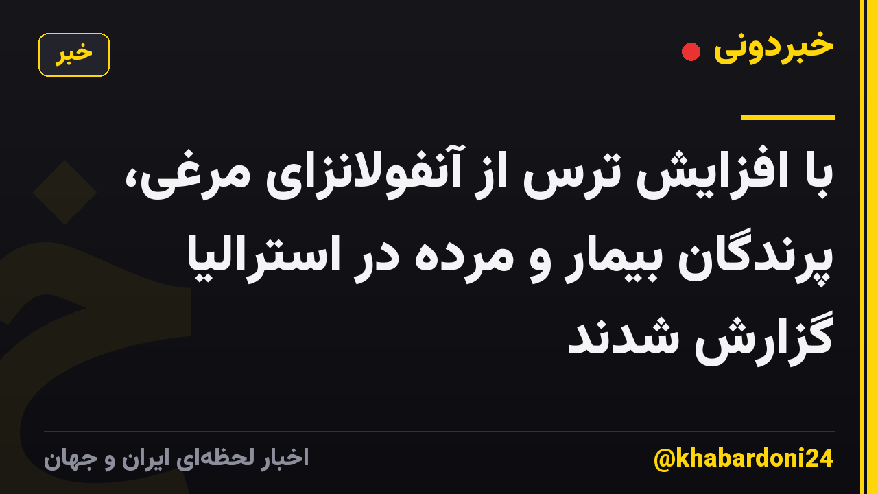 با افزایش ترس از آنفولانزای مرغی، پرندگان بیمار و مرده در استرالیا گزارش شدند