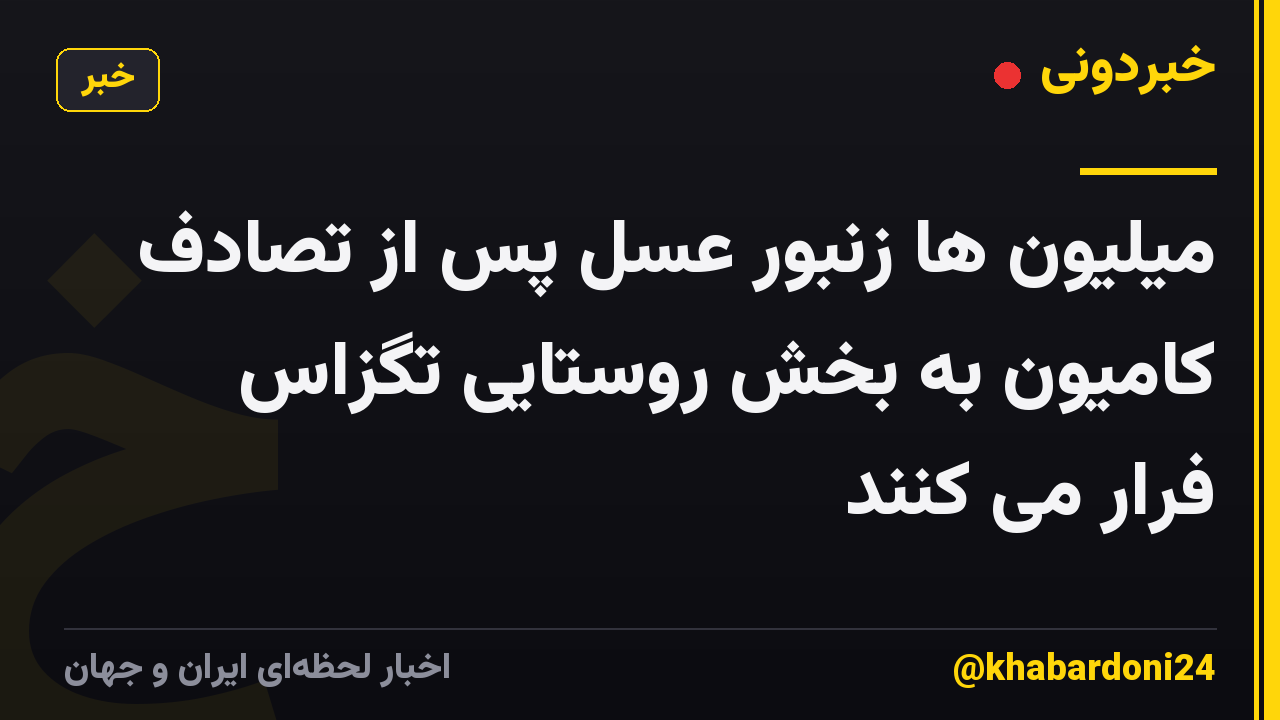 میلیون ها زنبور عسل پس از تصادف کامیون به بخش روستایی تگزاس فرار می کنند
