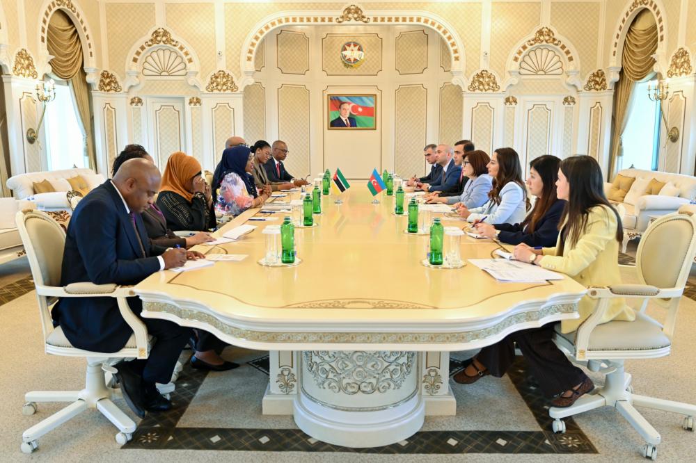 دیدار رئیس پارلمان آذربایجان با رئیس مجلس جمهوری موزامبیک