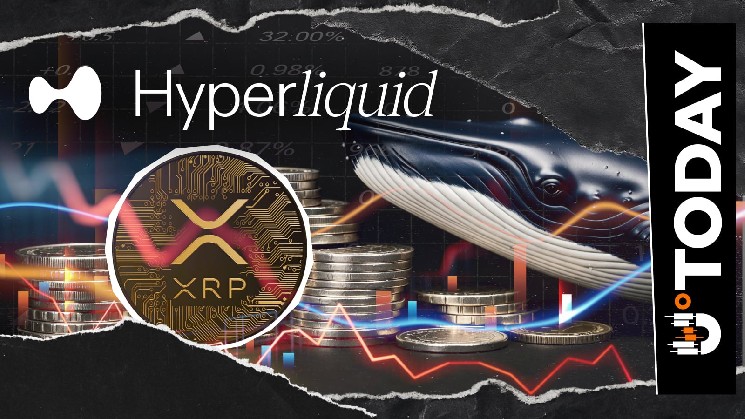نهنگ XRP با انحلال 30 میلیون دلاری مبارزه میکند، سرمایهگذاری در رالی تاریخی جولای