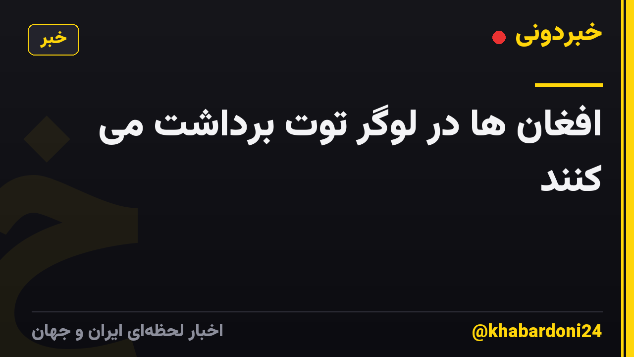 افغان ها در لوگر توت برداشت می کنند