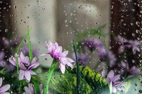 توصیه کارشناسان هواشناسی بخش کشاورزی برای ۵ روز آینده