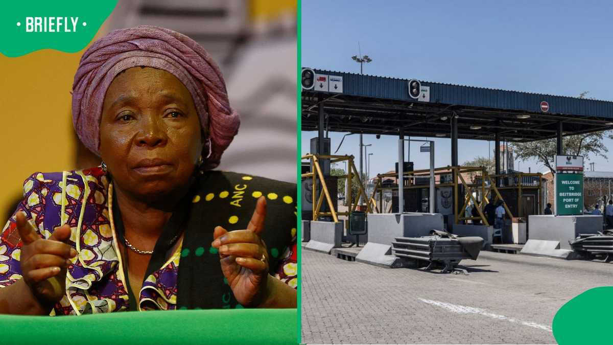 دکتر Nkosazana Dlamini-Zuma توضیح می دهد که کدام کشورهای آفریقایی ویزا برای ورود به SA دارند