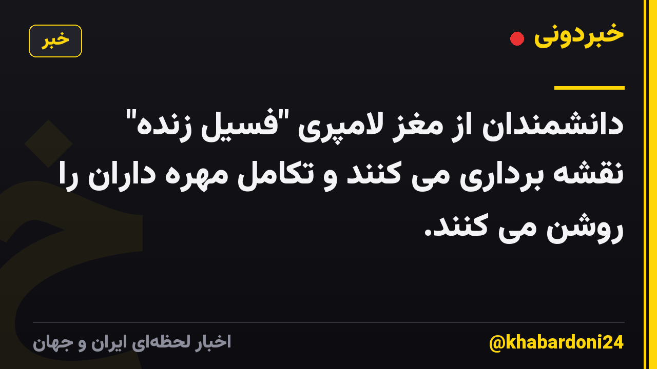 دانشمندان از مغز لامپری "فسیل زنده" نقشه برداری می کنند و تکامل مهره داران را روشن می کنند.
