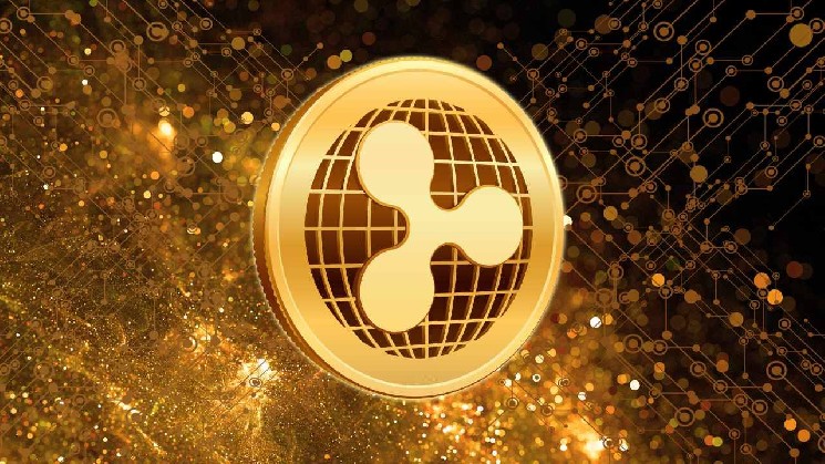 شما به اندازه کافی صعودی نیستید: مدیر اجرایی Ripple رونق پرداخت های رمزنگاری را پیش بینی می کند