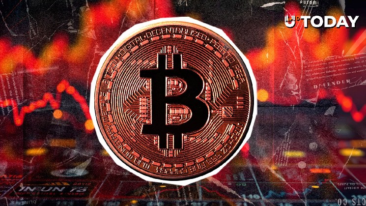 اقتصاددان سابق صندوق بین المللی پول در مورد سقوط بیت کوین (BTC): "هیچ گرفتری پشت سر نمانده"